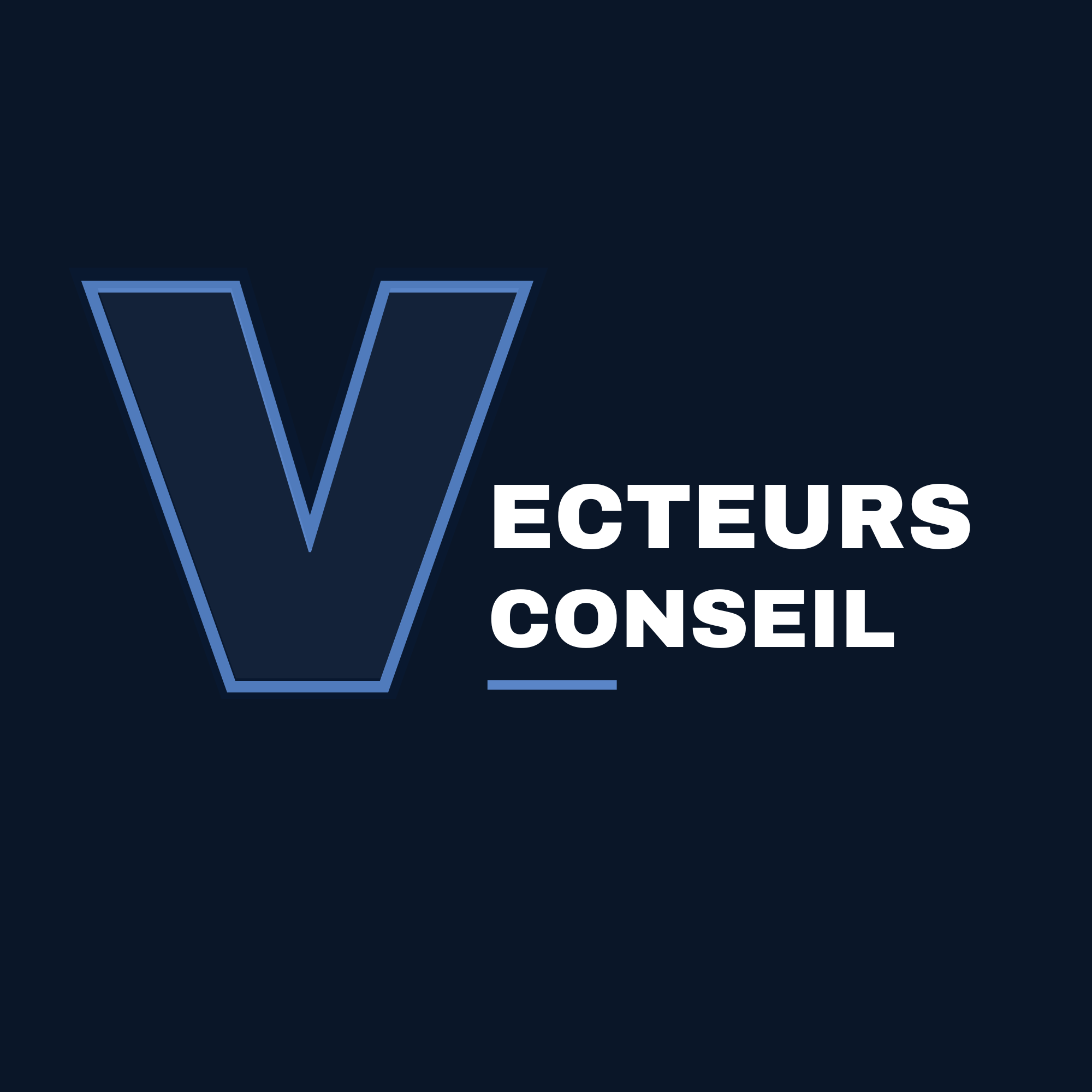Vecteurs Conseil